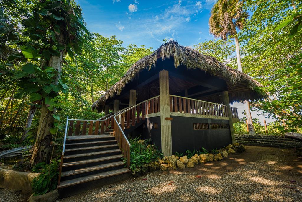 Natura Cabana Boutique Hotel & Spa By Mint Cabarete Ngoại thất bức ảnh