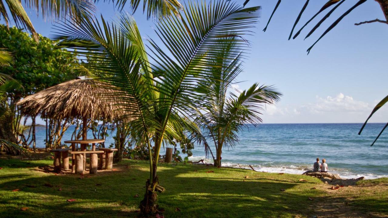 Natura Cabana Boutique Hotel & Spa By Mint Cabarete Ngoại thất bức ảnh